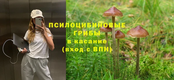 СК Абаза