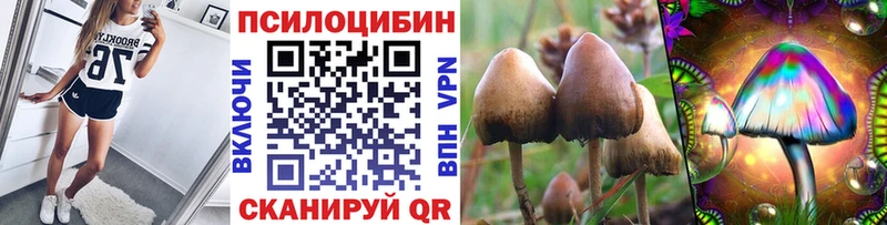 Псилоцибиновые грибы прущие грибы мориарти наркотические препараты Фрязино